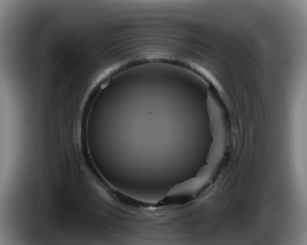 X0000086020391200703301037