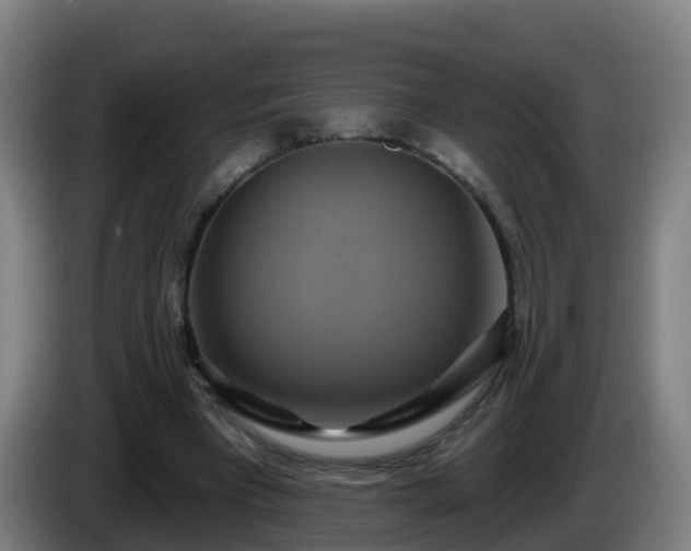 X0000086020393200703301037