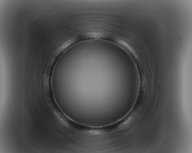 X0000086020394200703301037