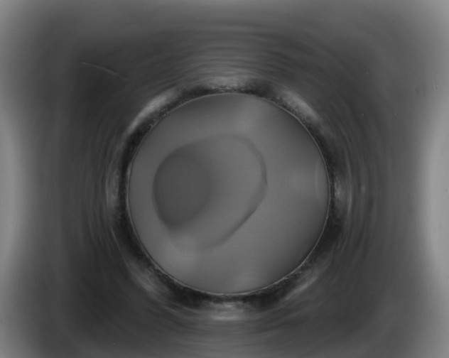 X0000086020396200703301037