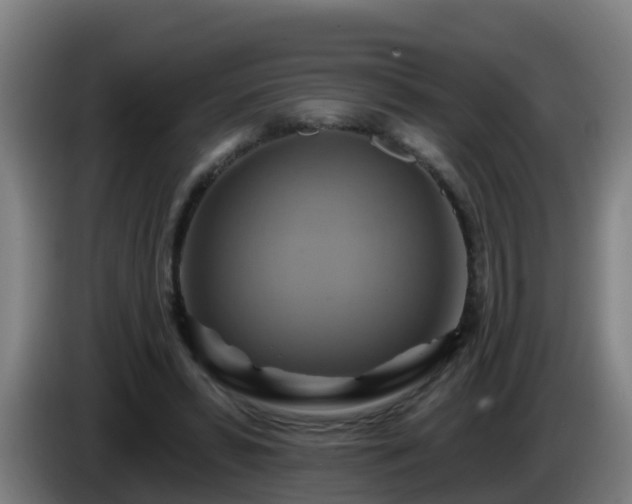 X0000086020399200703301037