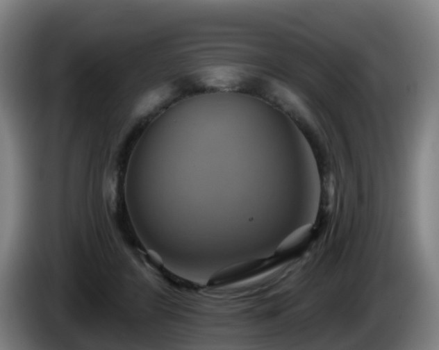 X0000086020404200703301037