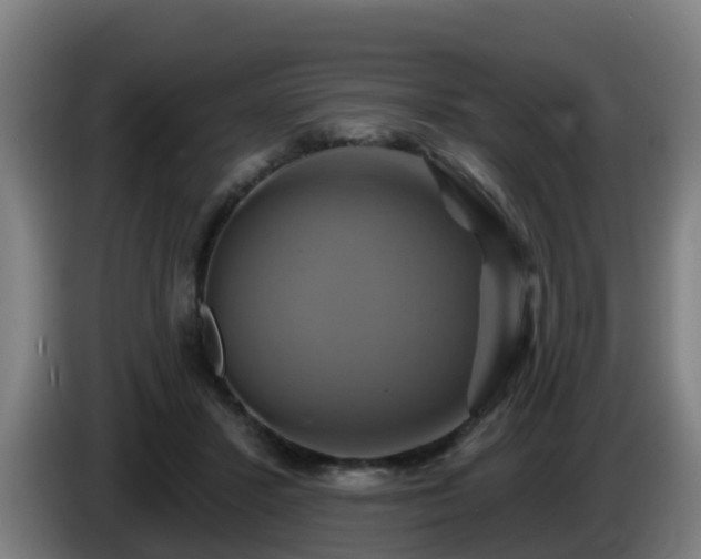 X0000086020407200703301037
