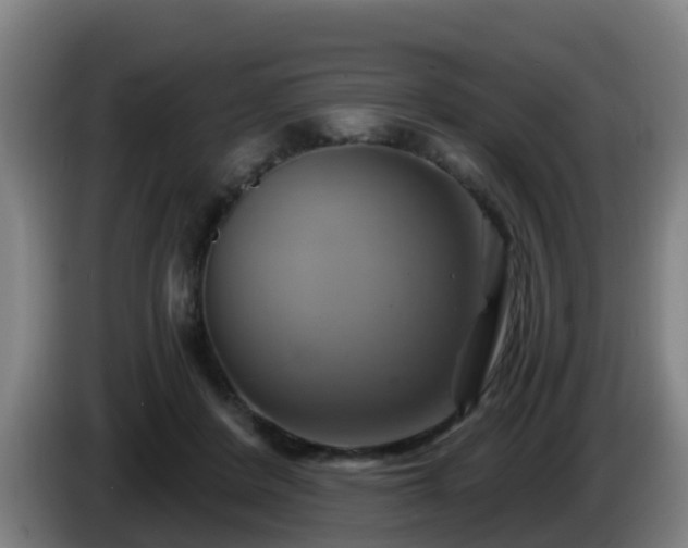 X0000086020408200703301037
