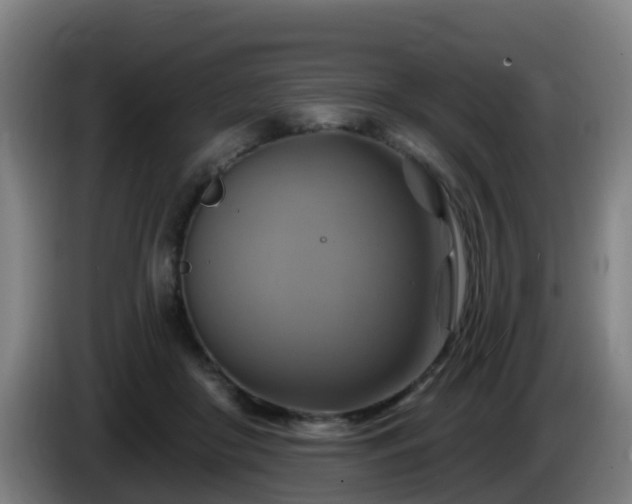 X0000086020410200703301036