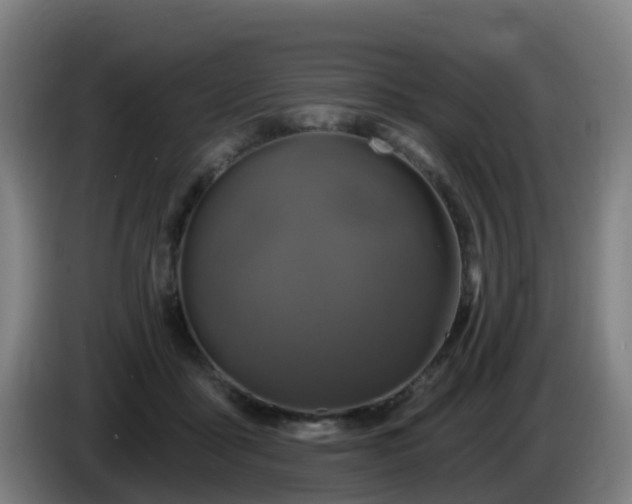 X0000086020411200703301036