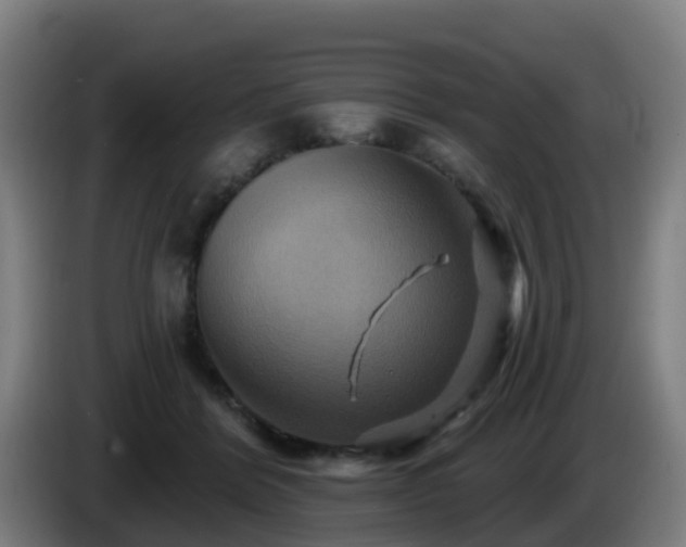 X0000086020412200703301036