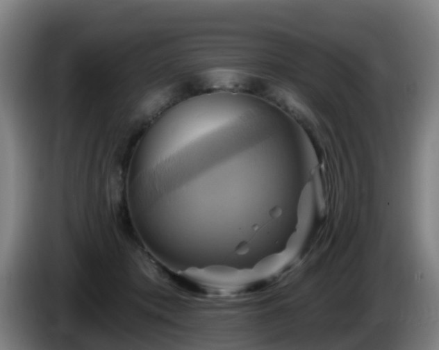 X0000086020413200703301036