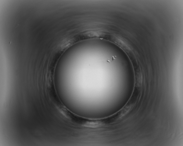 X0000086020414200703301036