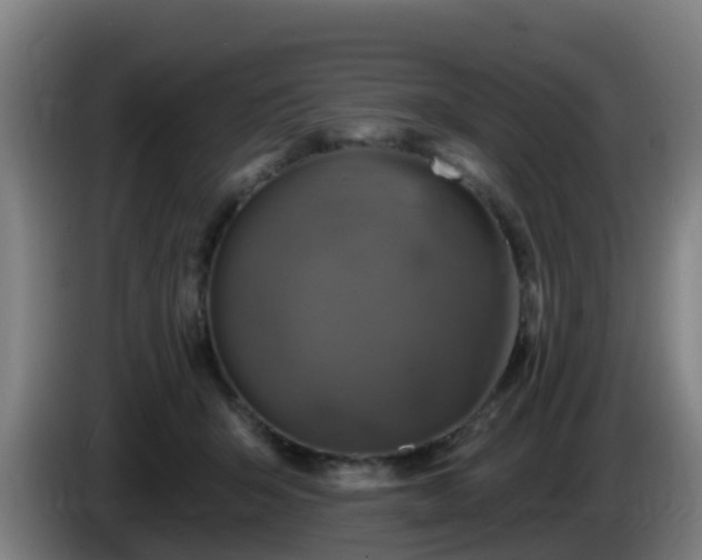 X0000086020415200703301036