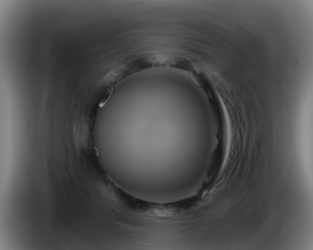 X0000086020416200703301036