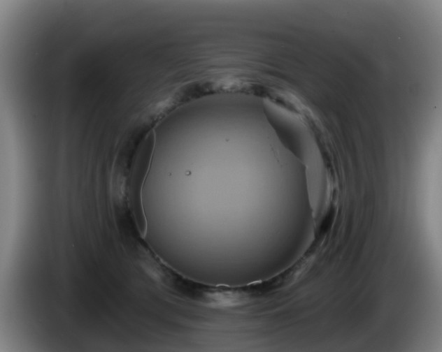 X0000086020417200703301036