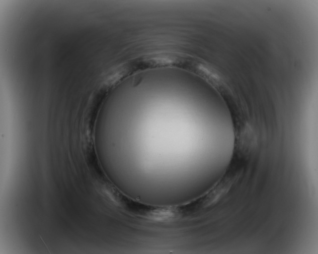 X0000086020418200703301036