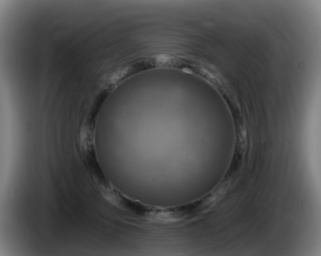 X0000086020419200703301036