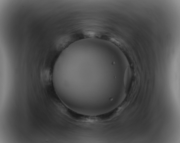 X0000086020420200703301036