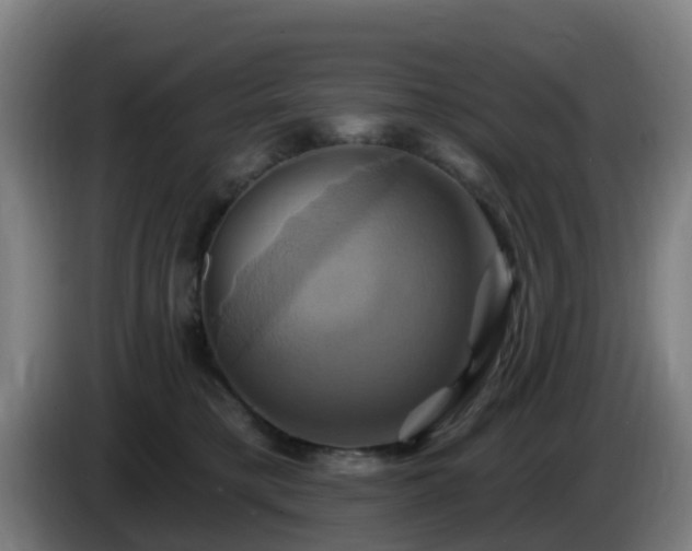 X0000086020421200703301036
