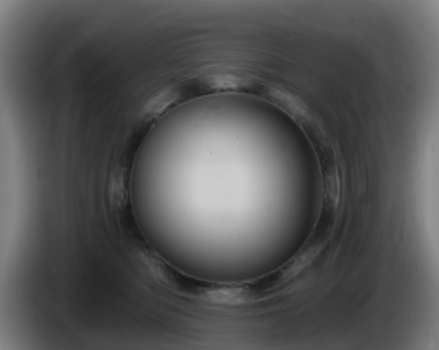 X0000086020422200703301036