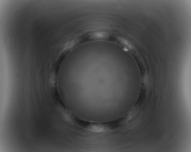 X0000086020423200703301036