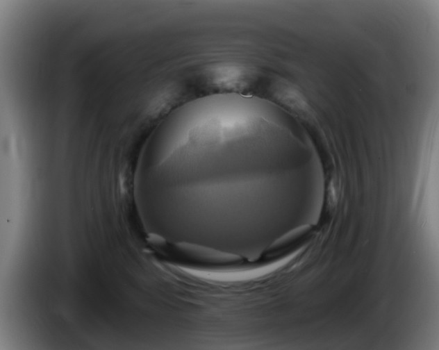 X0000086020424200703301036