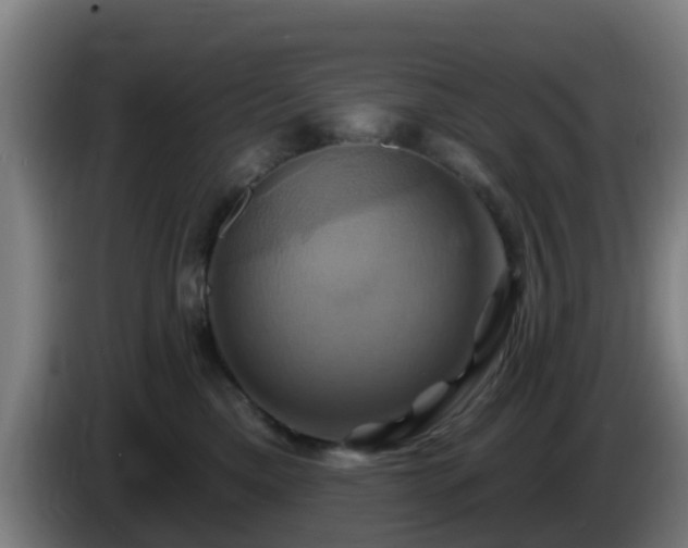 X0000086020425200703301036