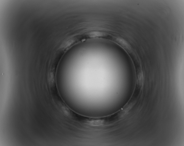 X0000086020426200703301036