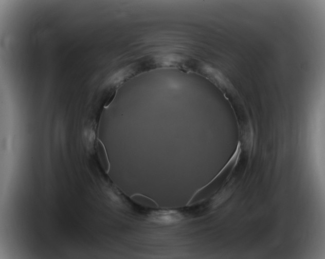 X0000086020427200703301036