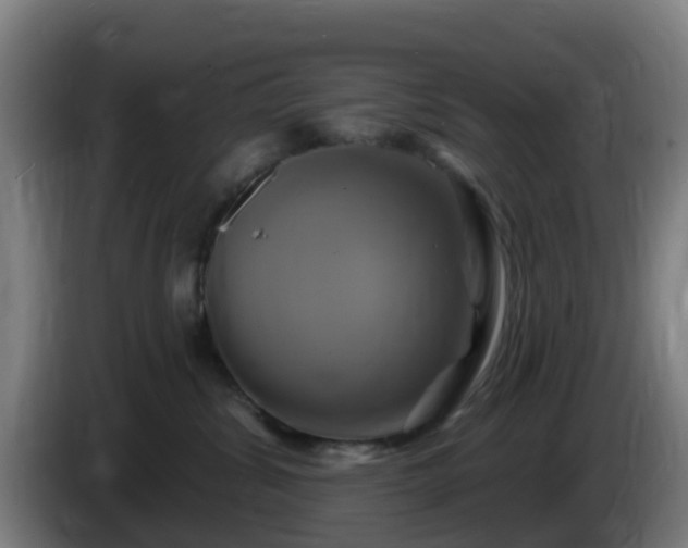 X0000086020428200703301036