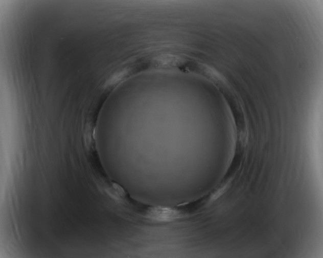 X0000086020429200703301036