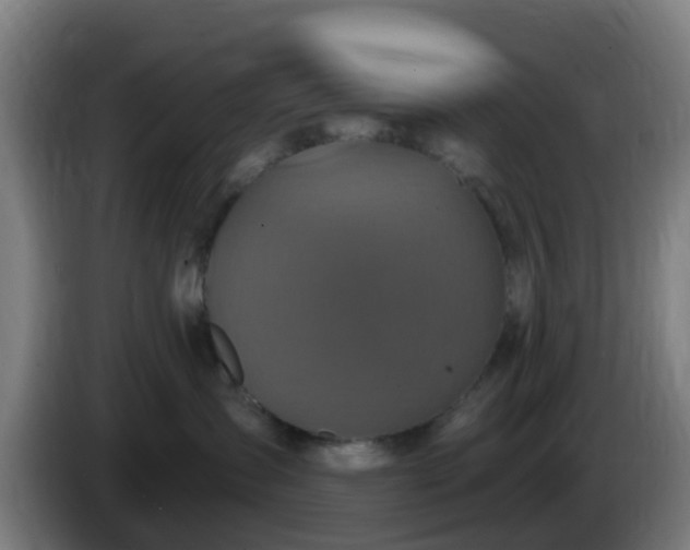 X0000086020431200703301036