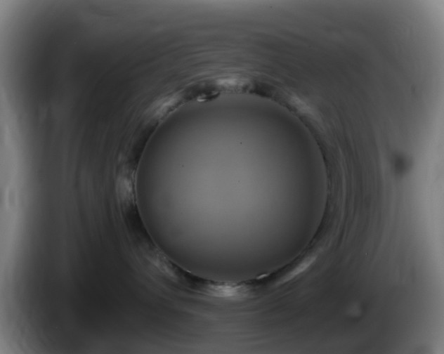 X0000086020432200703301036