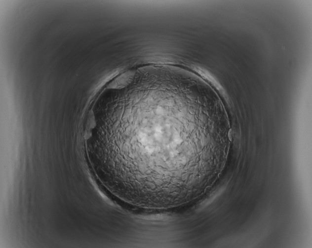 X0000086020433200703301035