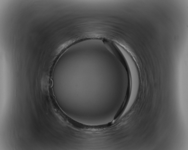 X0000086020434200703301036