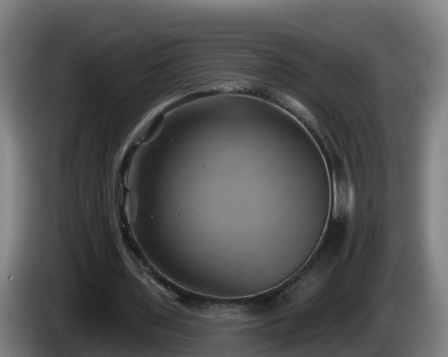 X0000086020435200703301036