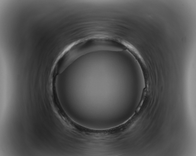 X0000086020436200703301036