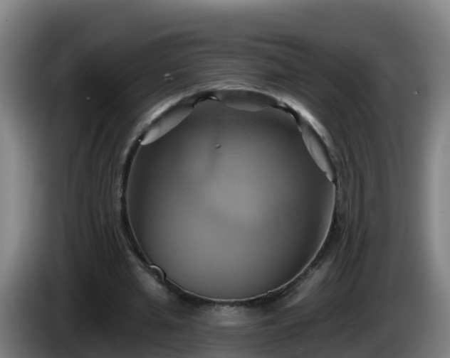 X0000086020437200703301036