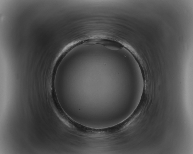 X0000086020438200703301036