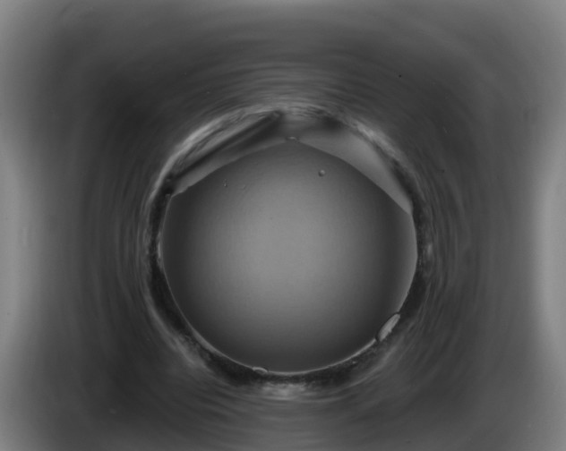 X0000086020440200703301036