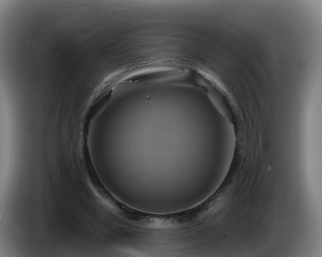 X0000086020442200703301036