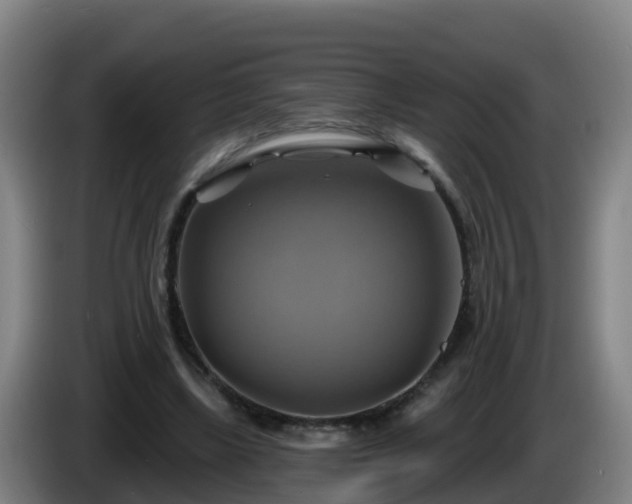 X0000086020443200703301036