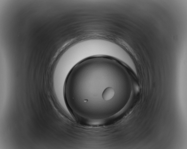 X0000086020444200703301036