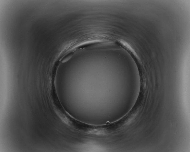 X0000086020447200703301036