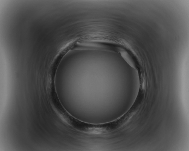 X0000086020448200703301036
