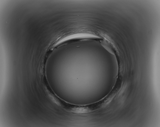 X0000086020449200703301036
