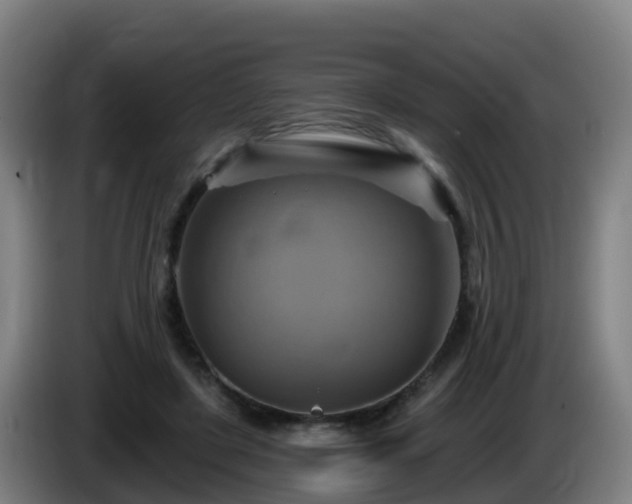 X0000086020451200703301036