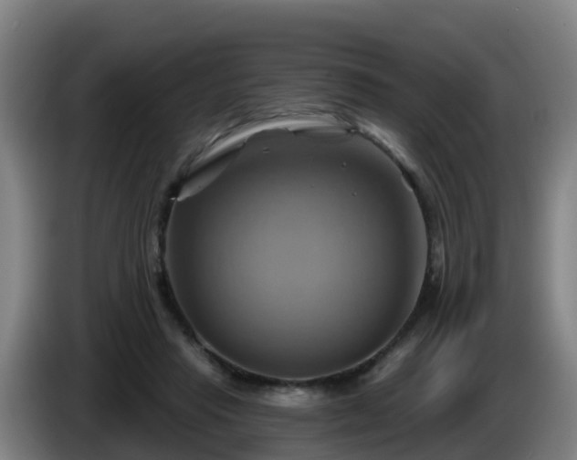 X0000086020453200703301036
