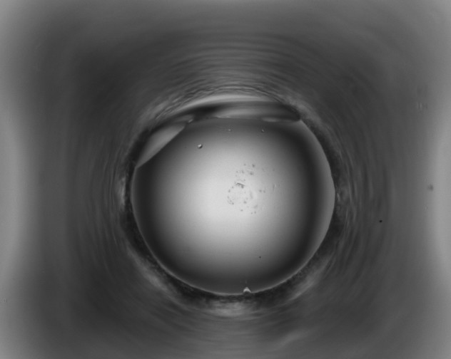 X0000086020454200703301036