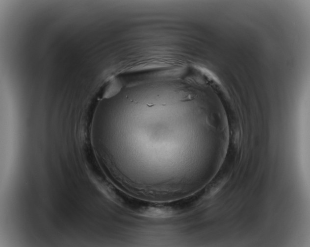 X0000086020455200703301036