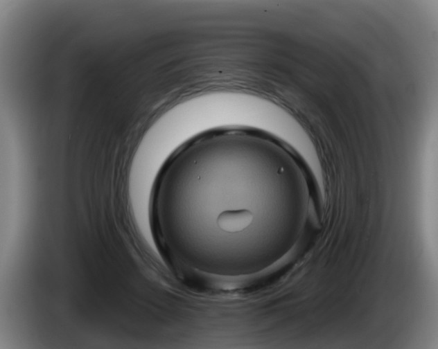 X0000086020456200703301036