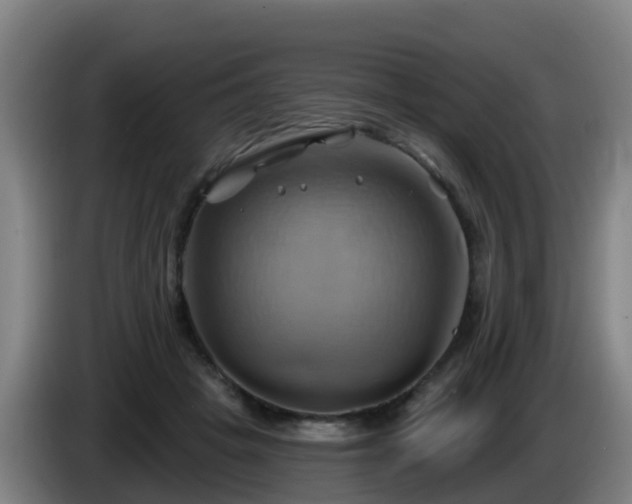 X0000086020457200703301036