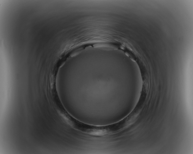 X0000086020458200703301036